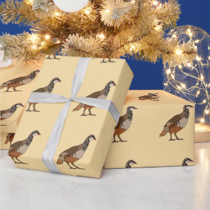 Papier Cadeau Perdrix Chukar Oiseau