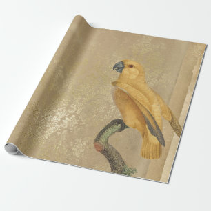 Papier Cadeau Perroquet jaune sur tan et or