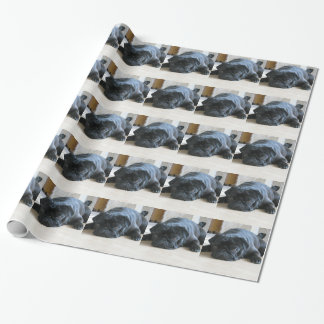 Papier Cadeau Personnaliser le Carlin noir mignon Nom d'accessoi