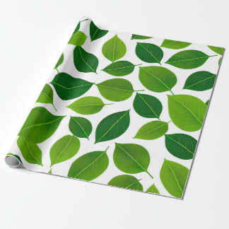 Papier Cadeau Pétale verte
