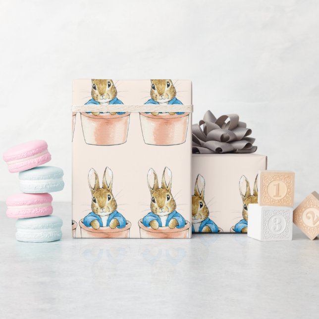 Papier Cadeau Peter le lapin assis en pot Plante (Baby Shower)