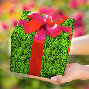 Papier Cadeau Photo en herbe réaliste Texture amusante Vert clai
