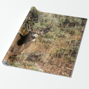 PAPIER CADEAU PHOTOGRAPHIE DE LA VIE SAUVAGE DE BUCK BROWN