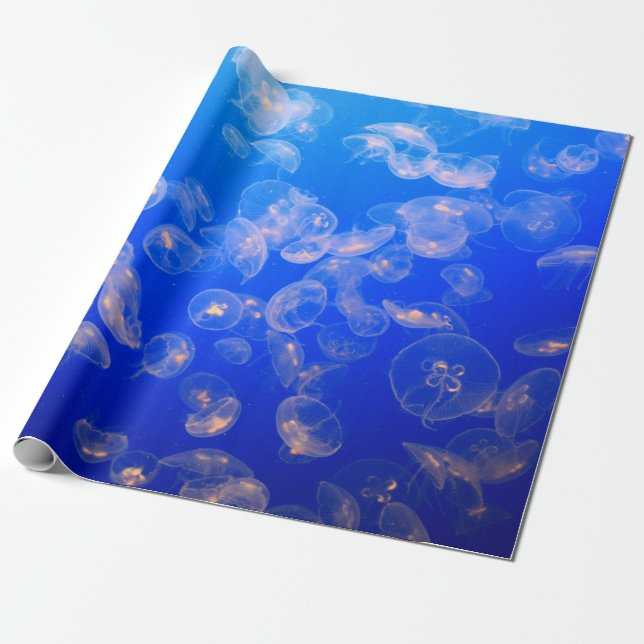 PAPIER CADEAU PHOTOGRAPHIE SOUS-MARINE DE JELLYFISH (Déroulé)