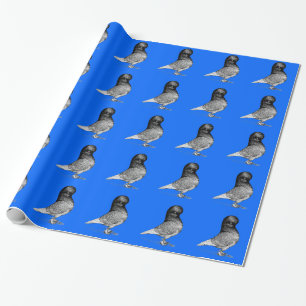 Papier Cadeau Pigeon à tombeau andalou