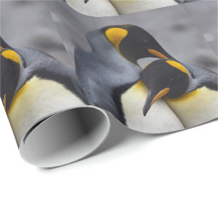 Papier Cadeau Pingouins Roi en papier d'enveloppement amoureux