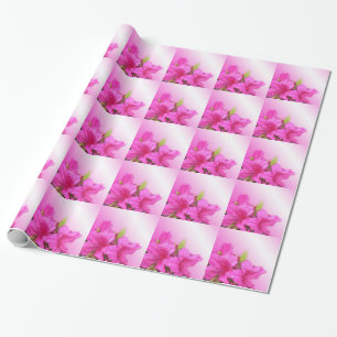 Papier Cadeau Pink azalea fleurs vacances, anniversaire, Noël,