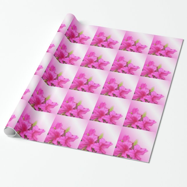 Papier Cadeau Pink azalea fleurs vacances, anniversaire, Noël, (Déroulé)