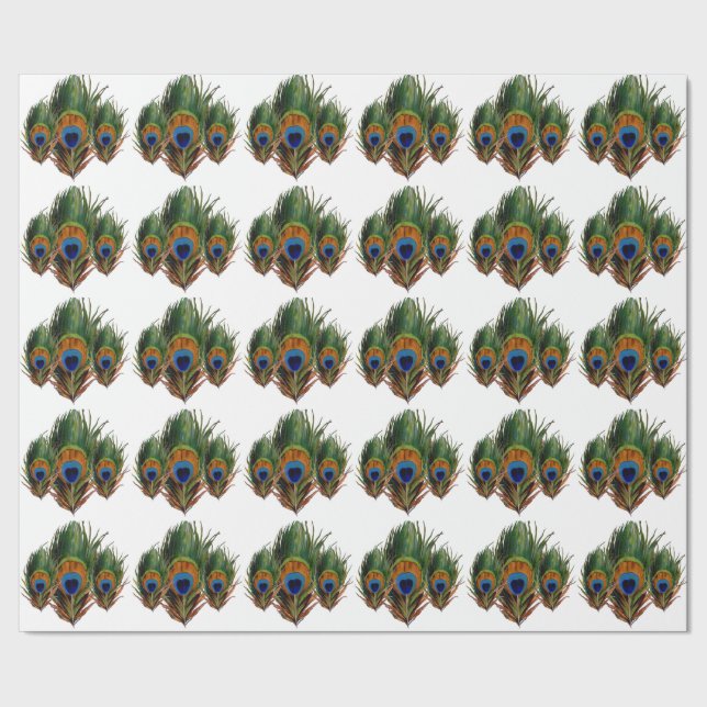 Papier Cadeau PixDezines plumes paon/do-it-yourself arrière - pl (Couture)
