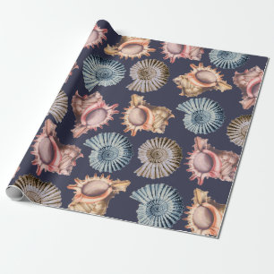 Papier Cadeau Plage Coquillages Spiraux & Coquilles de conque Cô