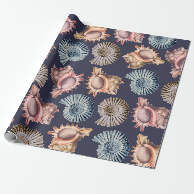 Papier Cadeau Plage Coquillages Spiraux & Coquilles de conque Cô (Déroulé)