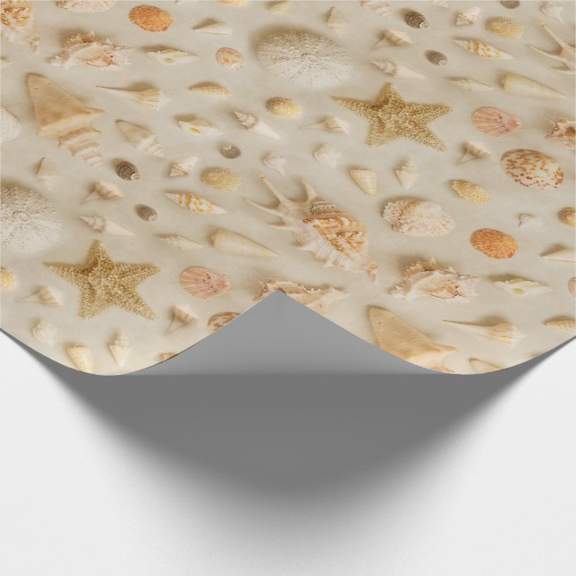 Papier Cadeau Plage de Starfish et Seashells (Coin)