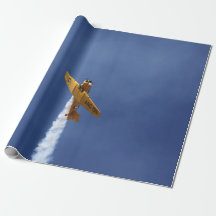Plan de guerre