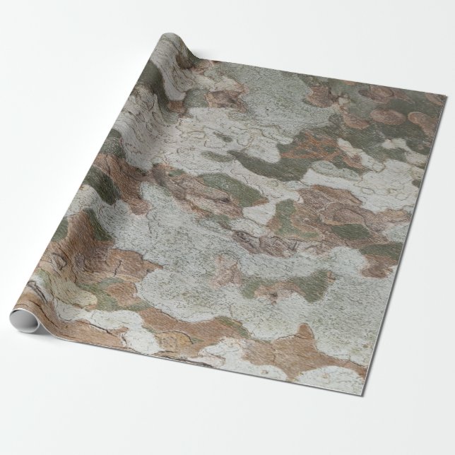 Papier Cadeau Plane tree camouflage looks bark pattern (Déroulé)