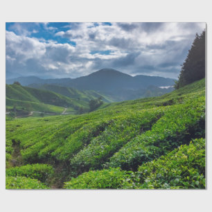 Papier Cadeau Plantation de thé de Cameron Highlands