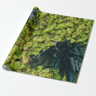 Papier Cadeau Plantes à feuilles vertes