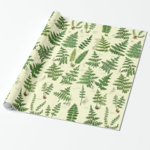 Papier Cadeau Plantes feuillus verts vintages