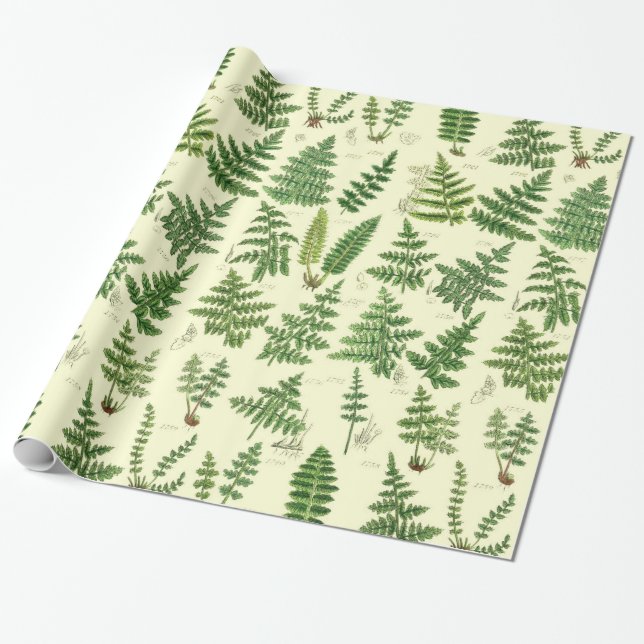 Papier Cadeau Plantes feuillus verts vintages (Déroulé)