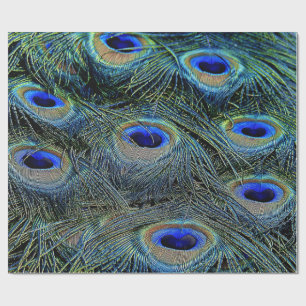 Papier Cadeau Plumes de paon colorées tendance