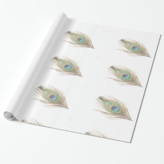 Papier Cadeau Plumes de paquetage