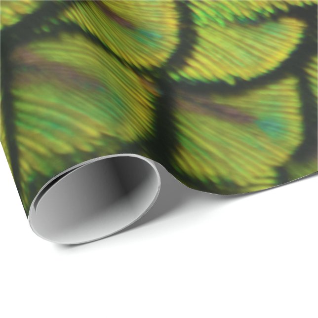 Papier Cadeau Plumes de queue de paon vert Iridescente (Coin rond)