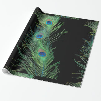 Papier Cadeau Plumes noires et vertes de paon