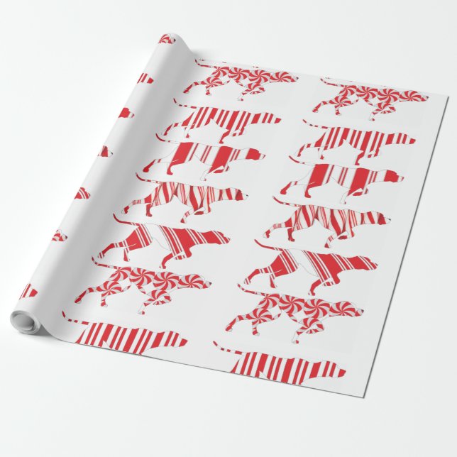Papier Cadeau POINTEUR ALLEMAND COURT - Papier cadeau, Papier GS (Déroulé)
