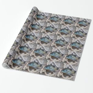 Papier Cadeau Poisson rouge sur quai et corde