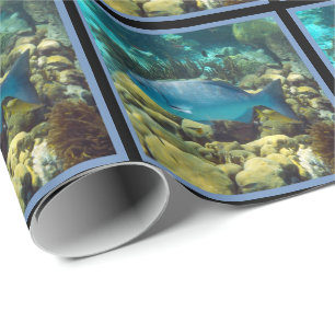 Papier Cadeau Poissons de récif