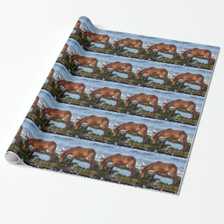 Papier Cadeau Poney du sud de Devon Dartmoor mangeant l'algue