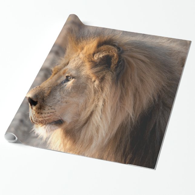 Papier Cadeau Portrait de Lion (Déroulé)