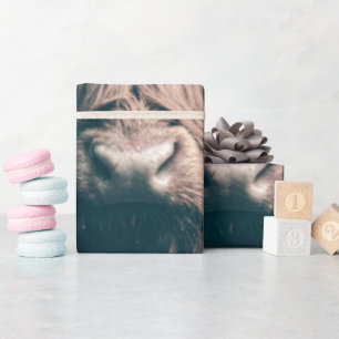 Papier Cadeau Portrait de vache Highland