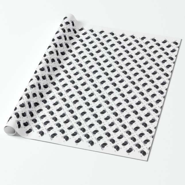 Papier Cadeau Portugais de l'histoire des chiens d'eau Design (Déroulé)