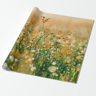 Papier Cadeau Pré de fleur sauvage