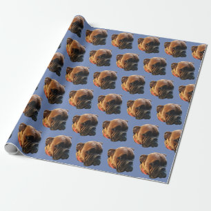 Papier Cadeau Puppy, boîte photo de chien