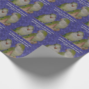 Papier Cadeau Quaker Parrot Amitié paire