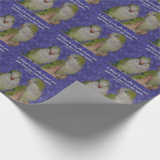 Papier Cadeau Quaker Parrot Amitié paire (Coin)