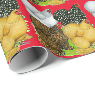 Papier Cadeau Quatre poules de Cochin