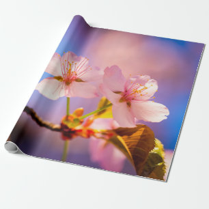 Papier Cadeau Quelques Fleurs Sakura