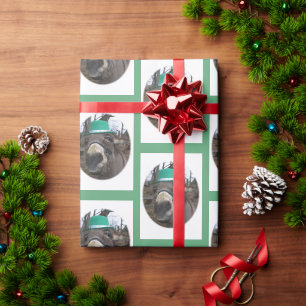 Papier Cadeau "Qu'Est-Ce Que Vous Regardez ?"