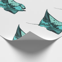 Rayon de Manta, (birostris de Manta)