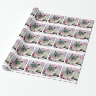 Papier Cadeau Recherche de chats