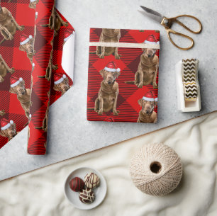 Papier Cadeau Red Plaid Chesapeake Retriever Père Noël Chien Noë