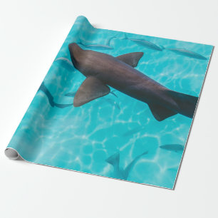 PAPIER CADEAU REQUINS SUR LE CORPS D'EAU