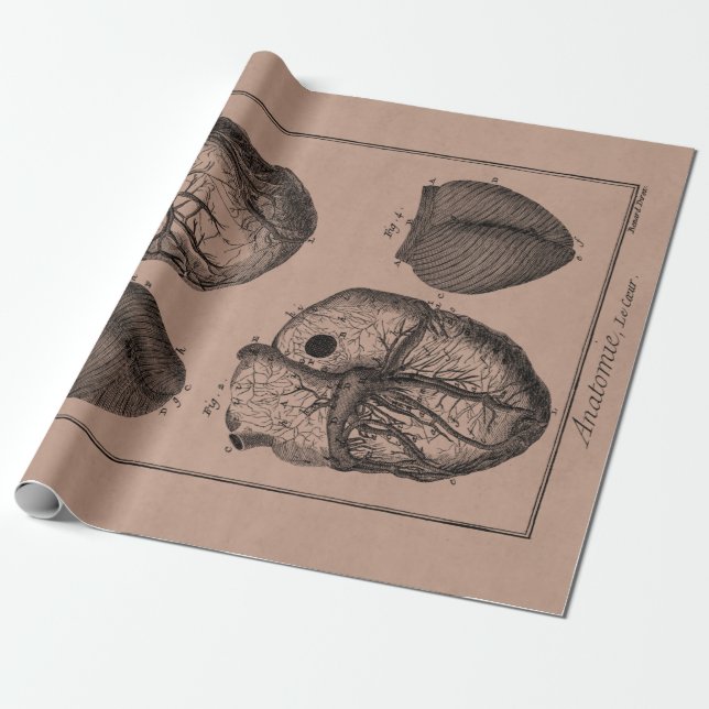 Papier Cadeau Rétros coeurs cardiaques d'anatomie de coeur (Déroulé)
