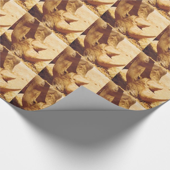 Papier Cadeau Rhinoceros Love (Coin)