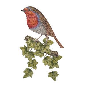 Papier Cadeau Robin perché sur des feuilles de lierre oiseaux sa
