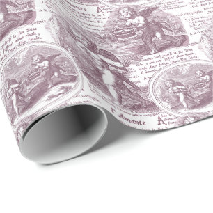Papier Cadeau Romantique Vintage Rouge Français Toile de Jouy C