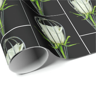 Papier Cadeau rose blanche en fil de fer
