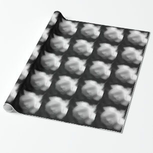 Papier Cadeau Rose Blanche Haut Contraste Noir Et Blanc